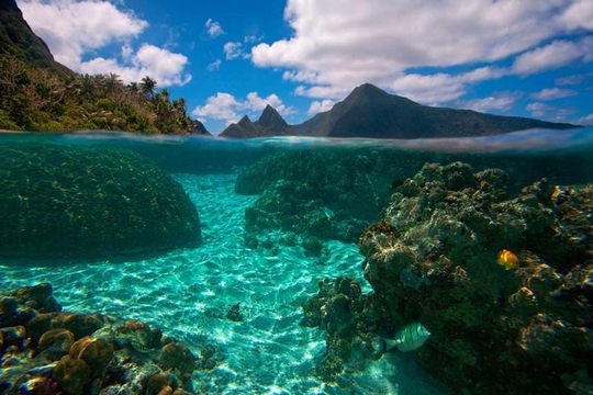 مناطق حفاظت‌شده دریایی ساموای آمریکایی
بیش از ۲۰۰ گونه از مرجان‌های باستانی اولیه، روند تکامل پیشروی این اکوسیستم تپه‌های دریایی را با مثال به ما نشان می‌دهد.