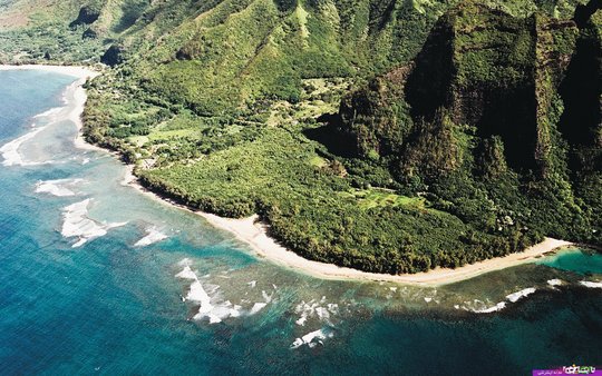 کائوآئی هاوایی 