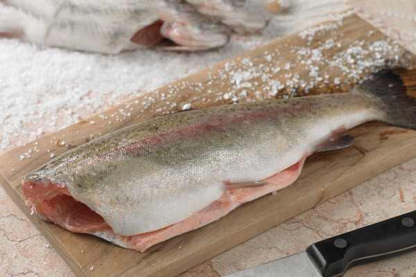 راهنمای خرید و شیوه پخت ماهی