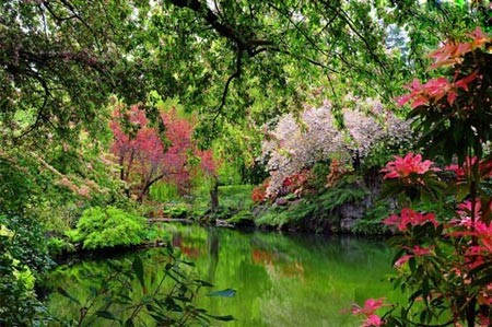 باغ های زیبا ودیدنی جهان