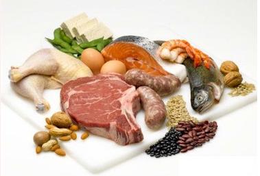 نقش پروتئین در تغذیه