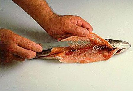 تصاویر: آموزش پاک کردن ماهی قزل آلا