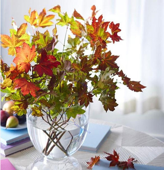 با این ایده ها، پاییز را میهمان منزل خود کنید