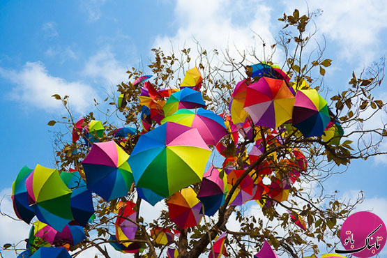 تصاویر: خلق فضاهای دل انگیز با چتر