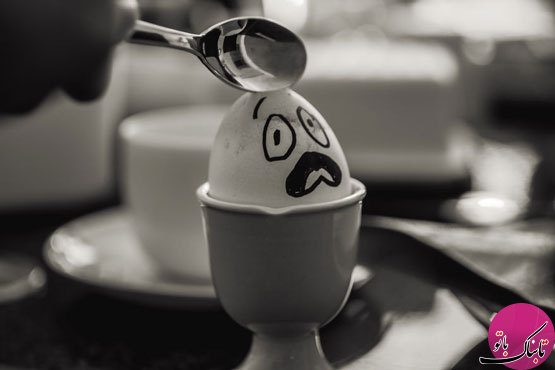 تصاویر خلاقانه و هنری با تخم مرغ