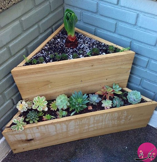 ساخت باغچه‌های کوچک با پالت و جعبه‌های چوبی