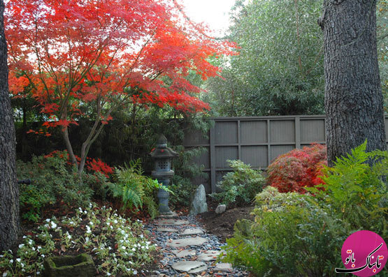 طراحی باغ و باغچه به سبک ژاپنی