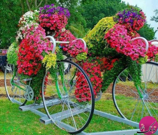 چیدمانی از دوچرخه‌های قدیمی در زیباسازی باغ و باغچه