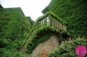 روستای مرموز سبز در چین