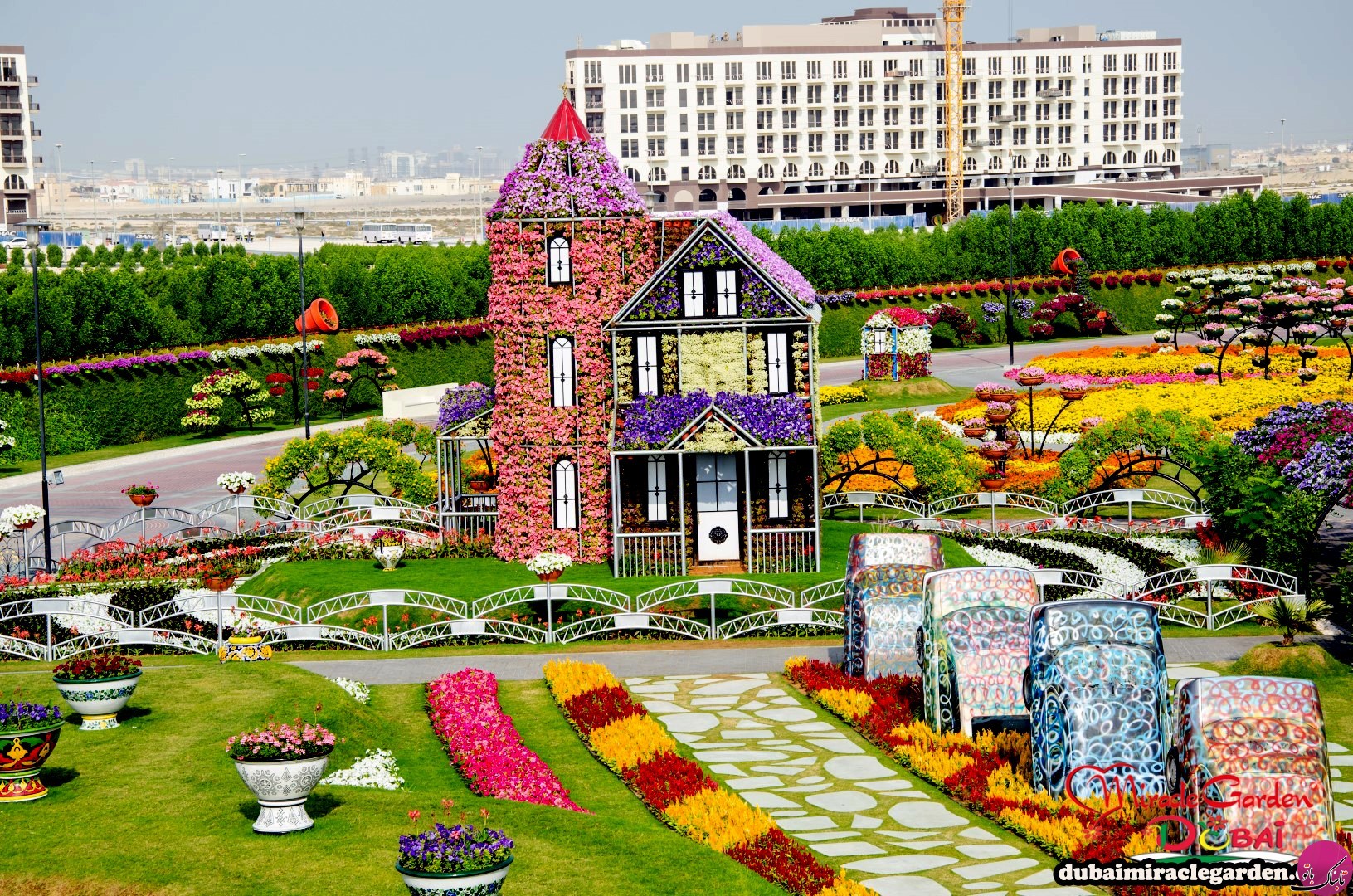 Парк цветом дубай. Парк Миракл Гарден Дубай. Парк цветов Dubai Miracle Garden. Сад в Дубае Миракл Гарден. Цветочный сад в Дубае Миракл.