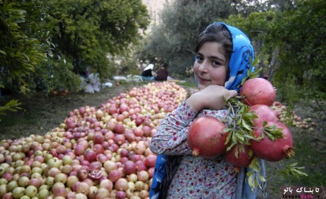 بهشت اردیبهشت ایران اینجاست