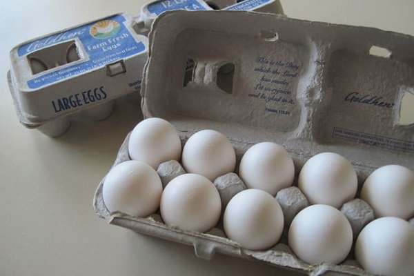 اختراع گوگل برای شکسته نشدن تخم مرغ +عکس