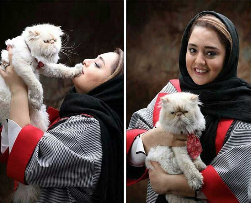 نرگس محمدی و گربه خانگی اش +عکس