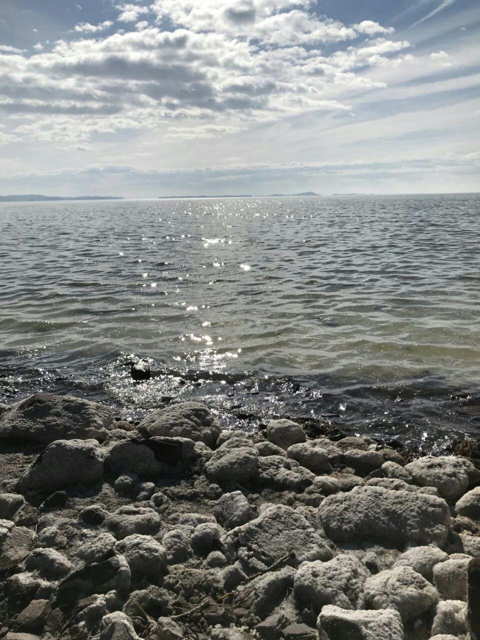دریاچه ارومیه زنده شد+عکس