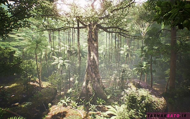 اکتشافی عجیب از جهان مرموز درختان