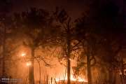 تصاویری از آتش سوزی در جنگل های لاهیجان
