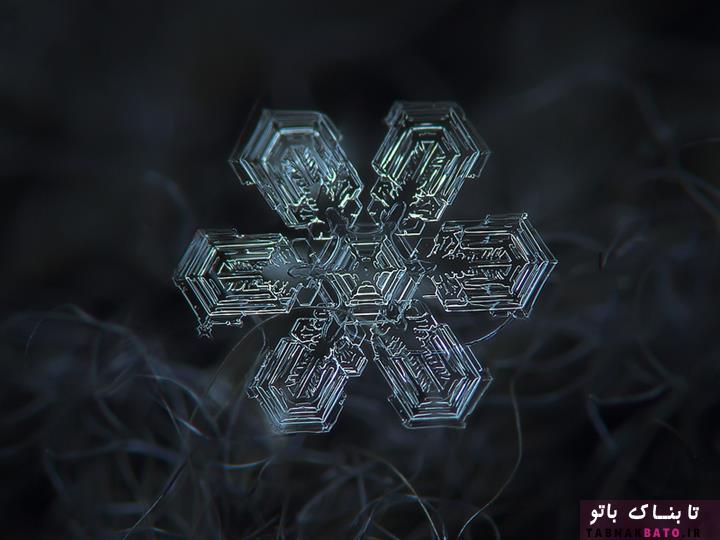 تصاویری شگفت‌انگیز از کریستال‌های برف