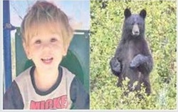 نجات پسر کوچولو با کمک خرس سیاه