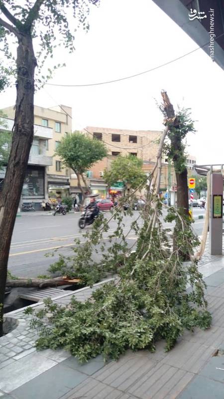 خسارت تندباد دیروز تهران در خیابان امام خمینی