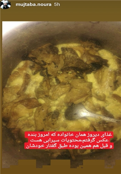 ماجرای خوردن گربه در جنوب ایران چیست؟ +عکس