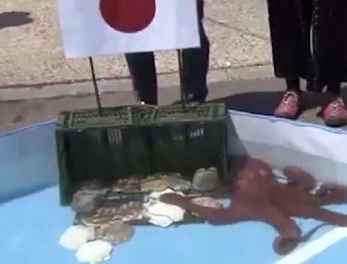 ژاپنی‌ها پس از باخت اختاپوس پیشگو را خوردند +عکس