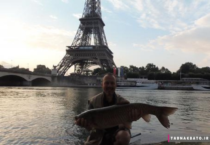 سلفی با ماهی در پاریس/ سگی که سوژه فضای مجازی شد/ ترزا می در تعطیلات/ پله برقی خلاقانه در چین/ باران های سیل آسا در هند