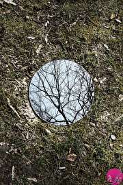 ثبت بازتاب طبیعت در قاب آینه