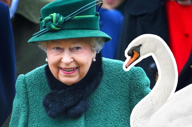 ۸ قانون کشور بریتانیا که ملکه الیزابت از آن ها مستثنی است