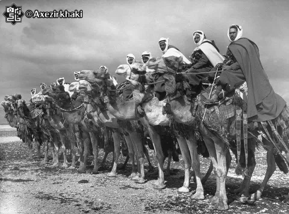 دسته­ ای از هنگ شترسواران نزدیک دمشق؛ ۱۹۴۰