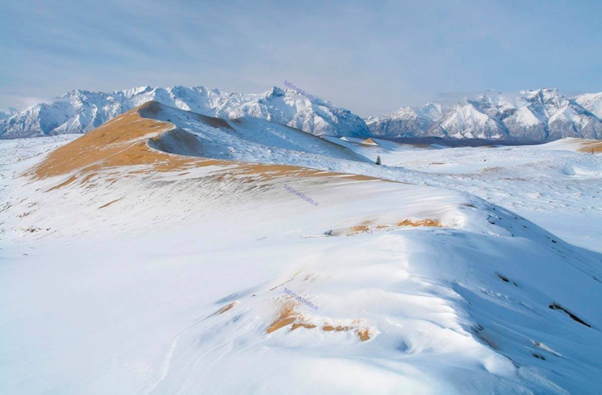 Cold desert. Чарские Пески Забайкальский край. Чарские Пески Забайкальский край зимой. Кодар Чарские Пески. Пески Чара Забайкальский край.