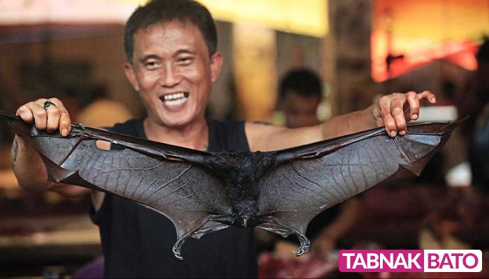 استقباه مردم اندونزی از گدشت خفاش با وجود کرونا!