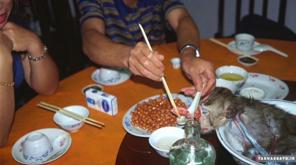 پنج غذای سادیسمی در شرق آسیا که با شکنجه حیوانات تهیه می شود!