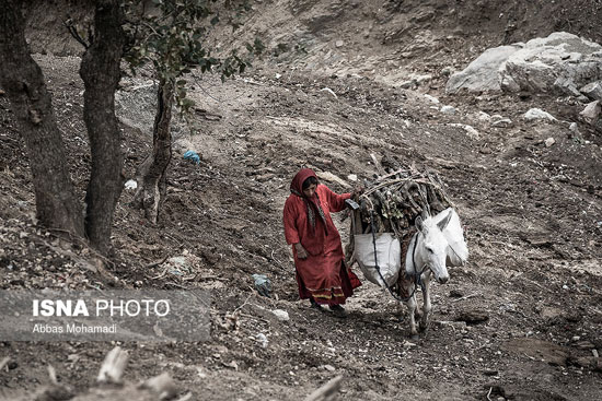روزگار سخت زنان لُر +عکس