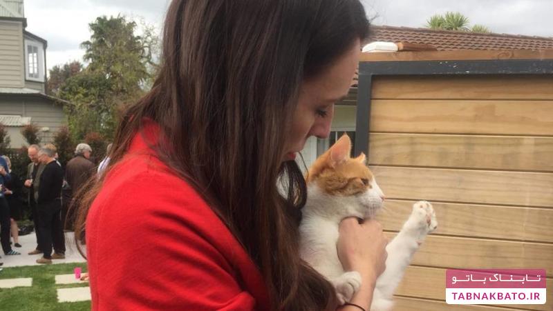 واکنش نخست وزیر نیوزیلند به تصادف گربه اش بعد از دو سال