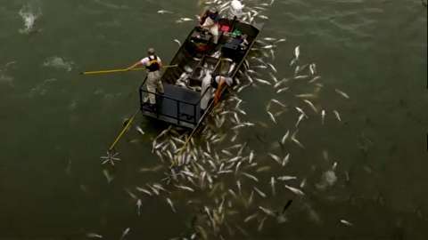 صید بی‌رحمانه ماهی در کنتاکی آمریکا