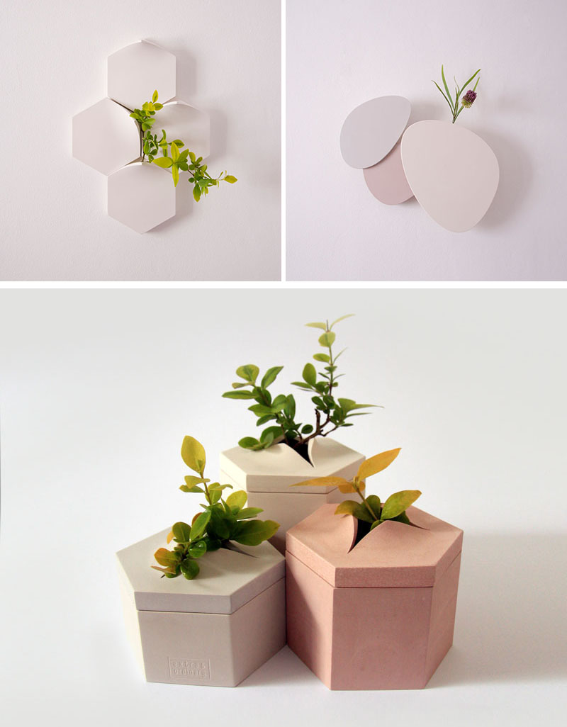 طراحی گلدان های دیواری تامسا برای نمایش قدرت طبیعت