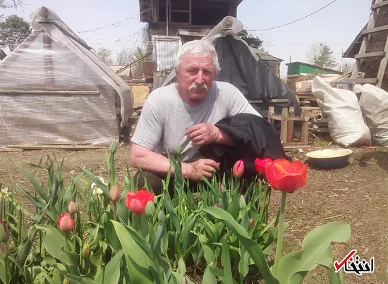 انتقام بی‌رحمانه خرس قهوای از یک مرد روس+عکس