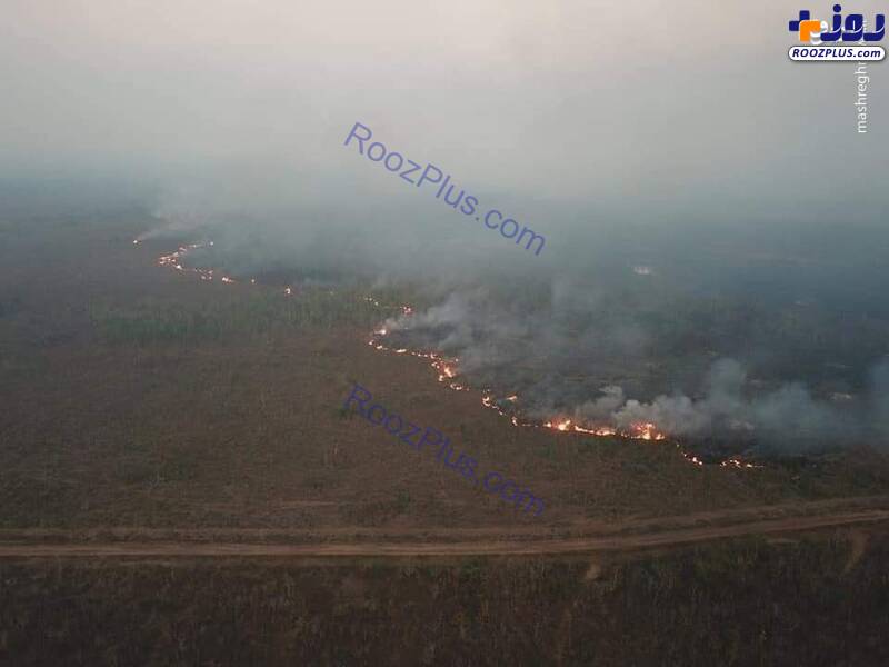 آتش سوزی در جنگل‌های آمازون برزیل +عکس