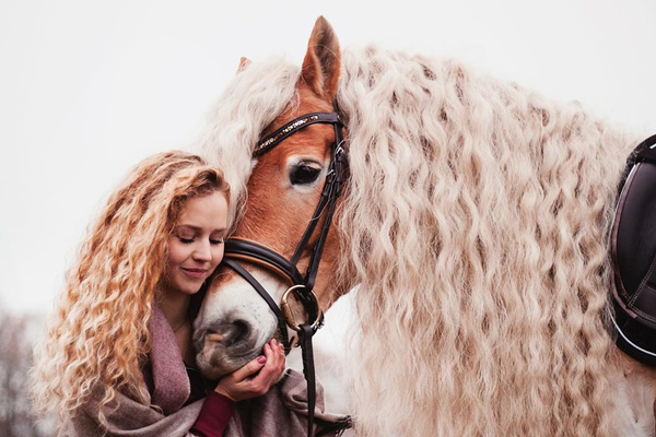 هر دختری به مو‌های این اسب حسادت می‌کند+عکس