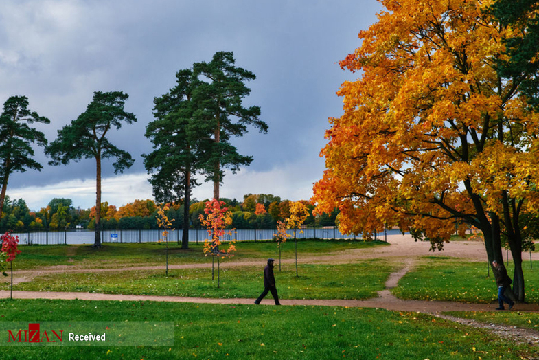 پاییز طلایی در سنت پترزبورگ روسیه +عکس