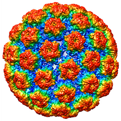 شناخت ویروس hpv و راه‌های درمان آن