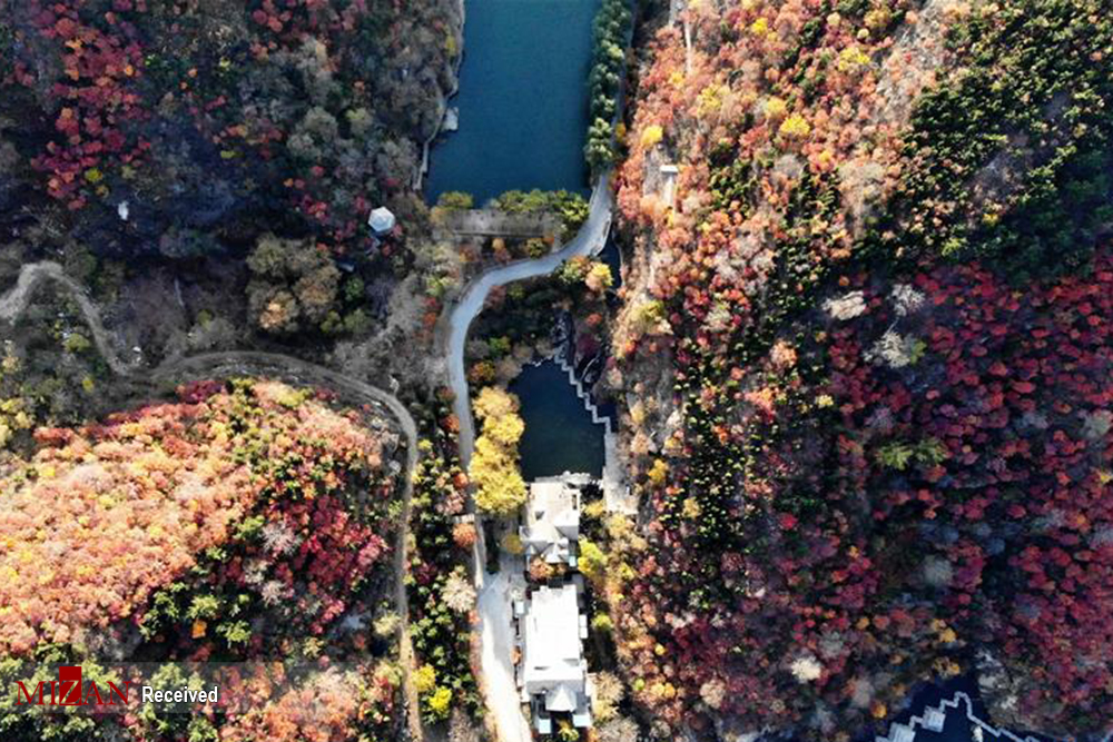 زیبایی‌های فصل پاییز در چین