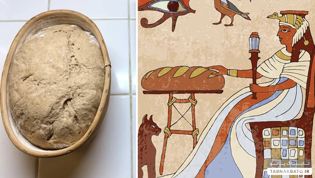دانشمندی که با مخمر ۴۵۰۰ ساله نان پخت!