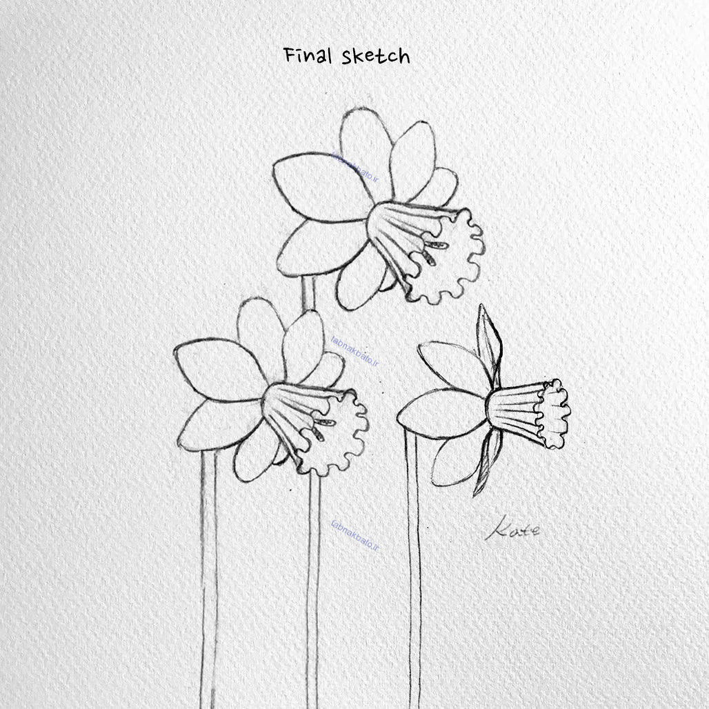 آموزش گام به گام رسم گل‌های زیبا به سبک هنرمند کره‌ای|خبر فوری