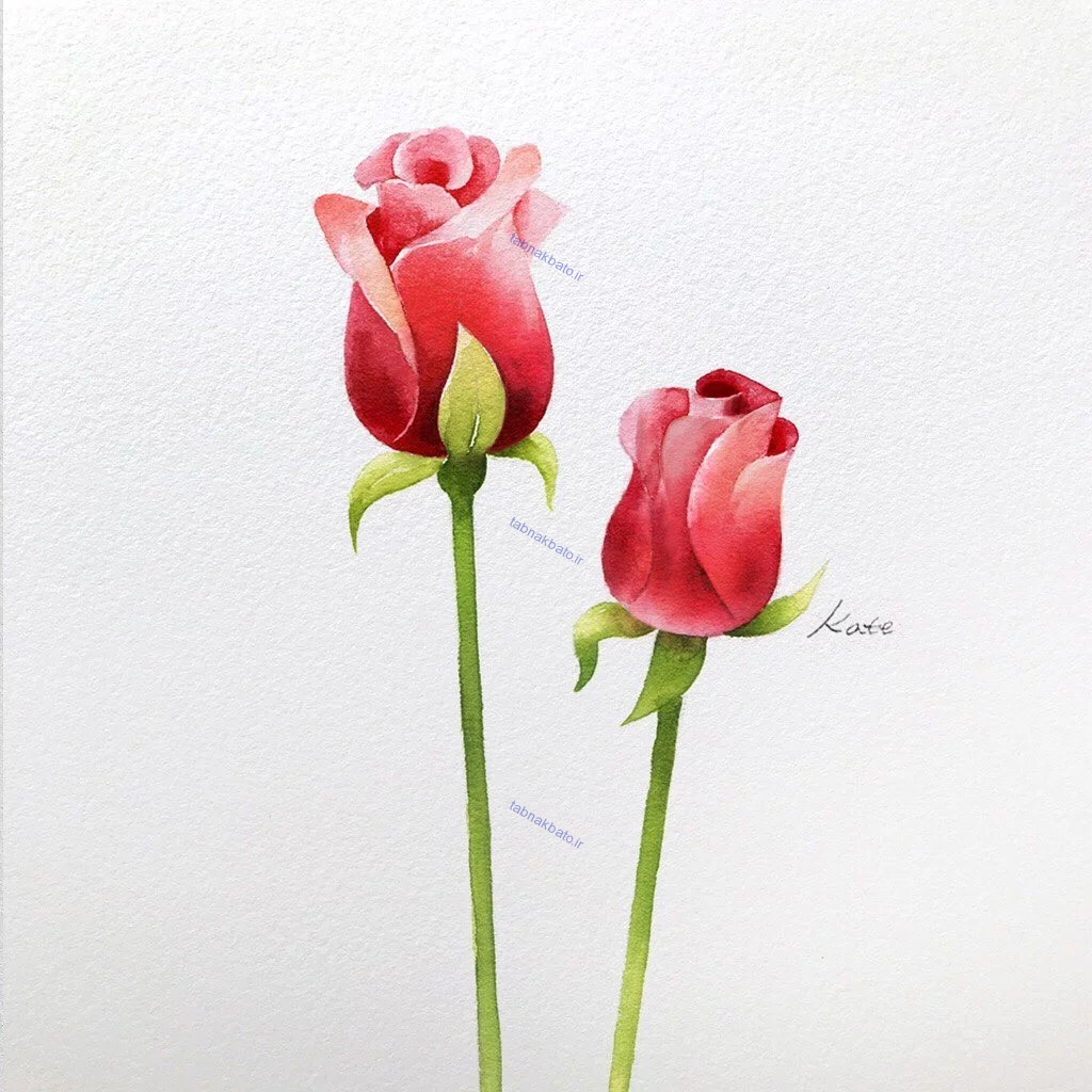 آموزش گام به گام رسم گل‌های زیبا به سبک هنرمند کره‌ای|خبر فوری