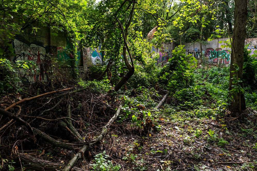 تبدیل دیوار مرگ به باغ سبز در آلمان