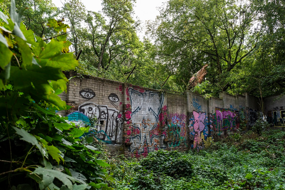 تبدیل دیوار مرگ به باغ سبز در آلمان