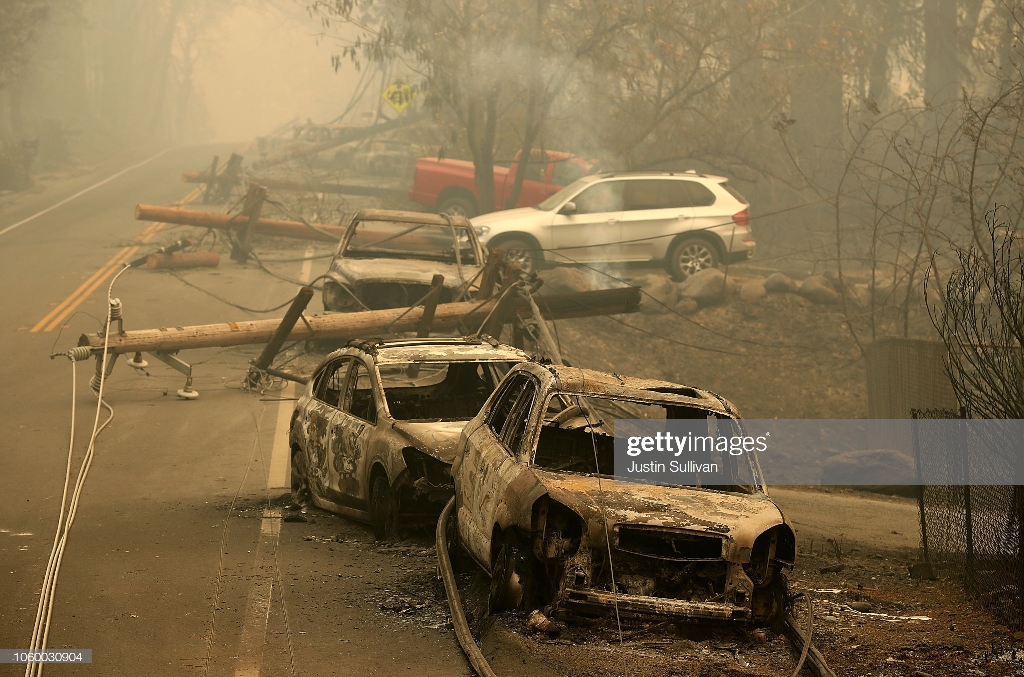حیوانات کباب شده و ماشین های سوخته در جهنم کالیفرنیا + عکس