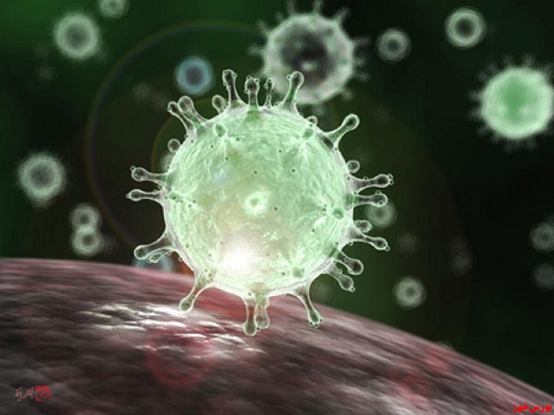 ساعاتی پیش نشریه علمی Cell نتیجه موفقیت‌آمیز داروی hrsACE2 را بر روی ویروس کرونا منتشر کرد