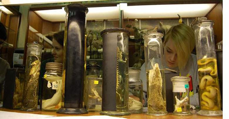 موزه تاریخ طبیعی در شمال ولز که به ندرت بازدید عمومی دارد